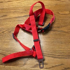 Dog car harness. Used once. Sanitized